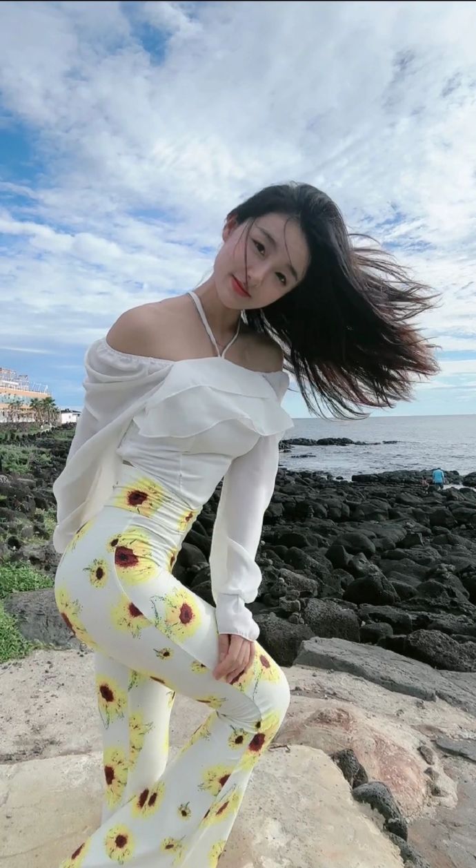 卧虎藏龙 封面