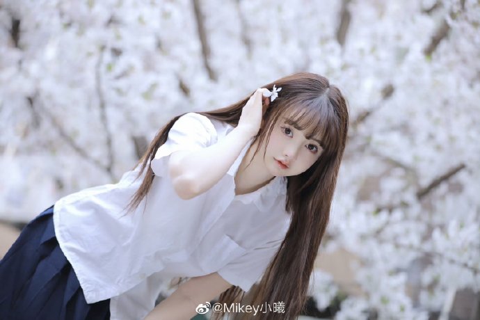 甄嬛传 封面
