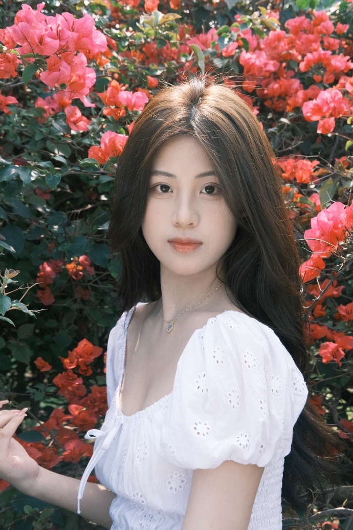 任逍遥 封面