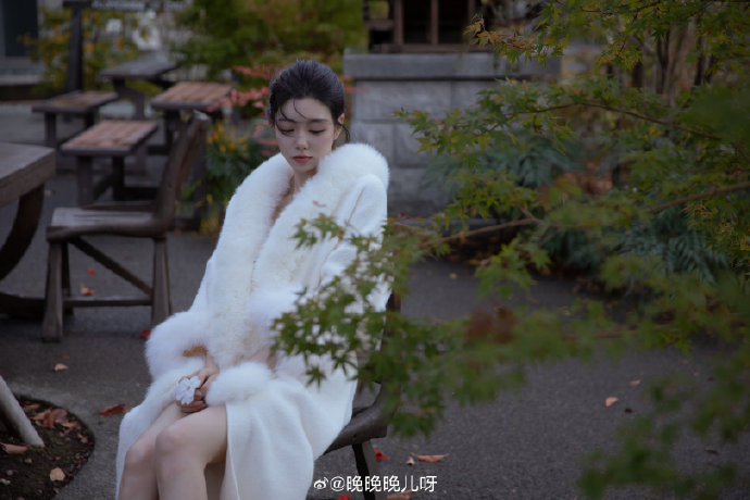 窈窕淑女 封面