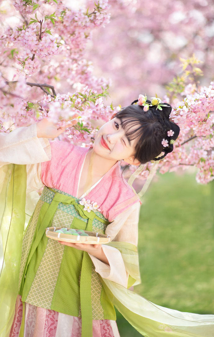 风骚律师